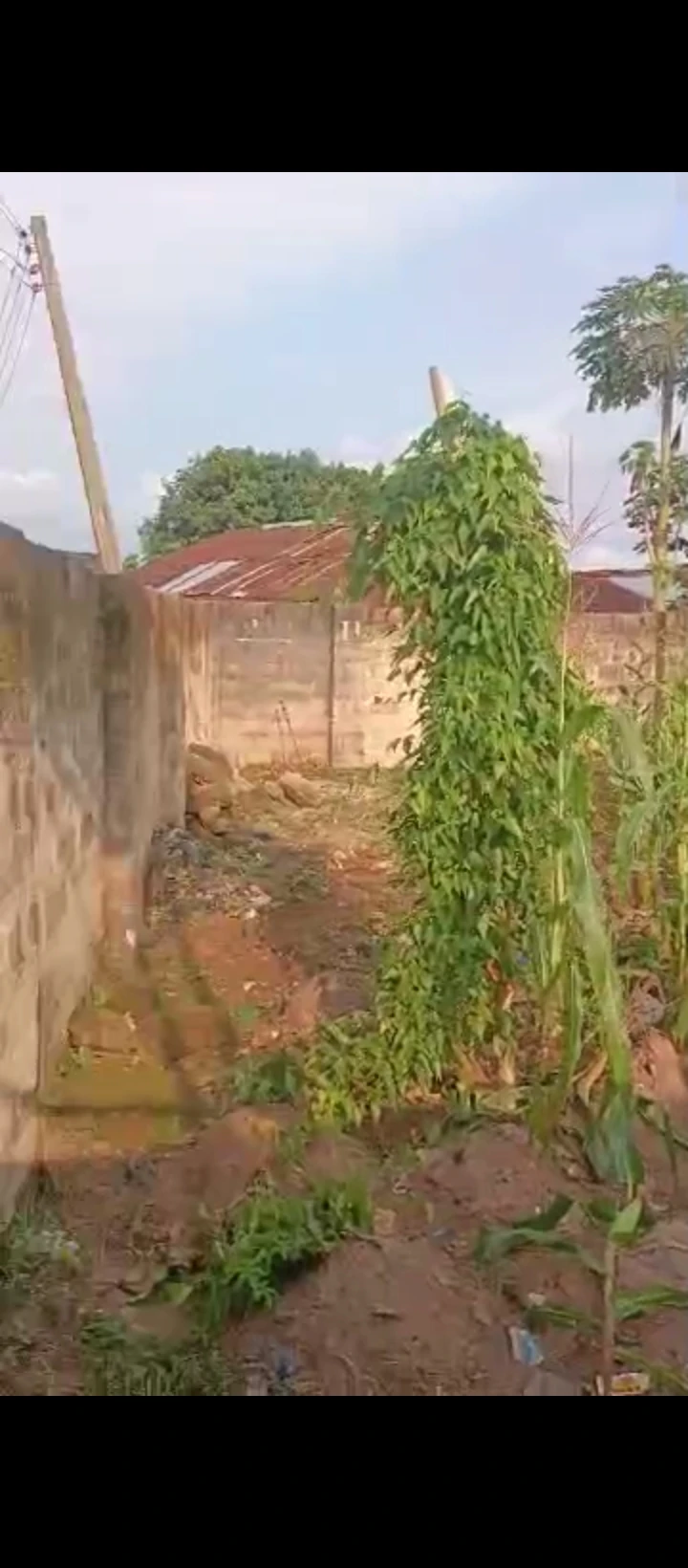 Land for Sale in Iriri airport road, Edo - Image 4