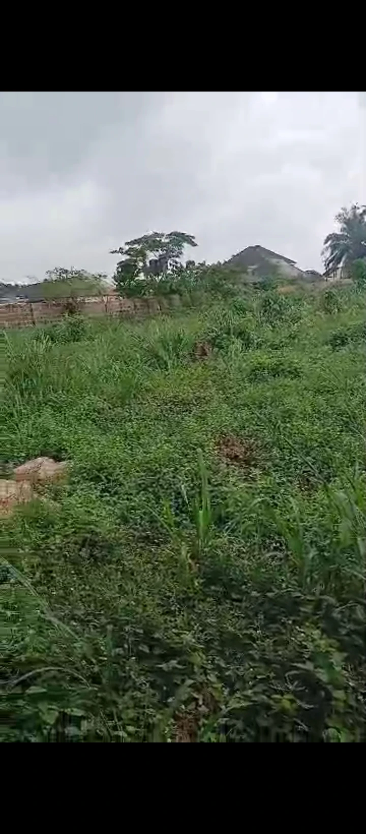 Land for Sale in Falanou country home, Edo - Image 5