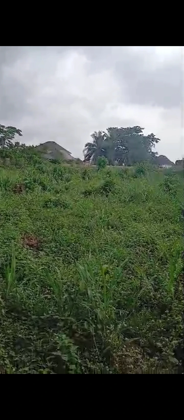 Land for Sale in Falanou country home, Edo - Image 3