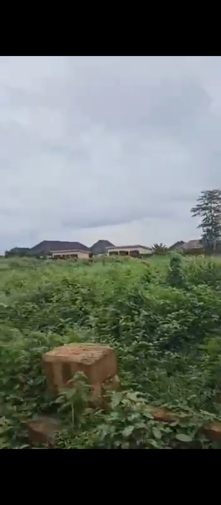 Land for Sale in Okhoromi airport road, Edo - Image 5