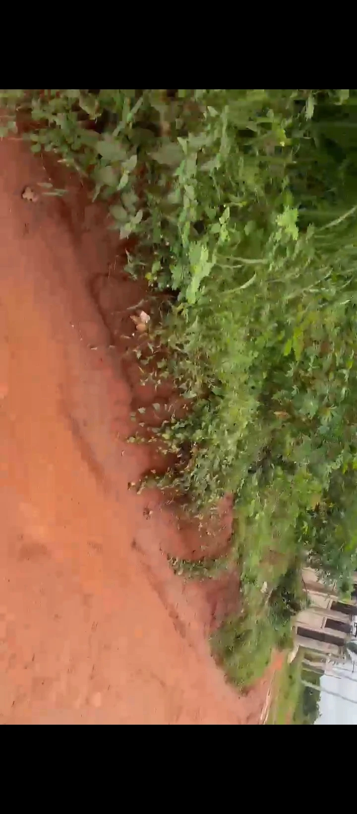 Land for Sale in Benin Lagos road, Edo - Image 1