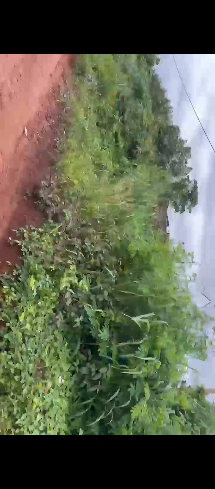 Land for Sale in Benin Lagos road, Edo - Image 4