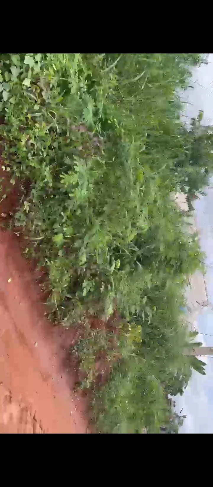 Land for Sale in Benin Lagos road, Edo - Image 3