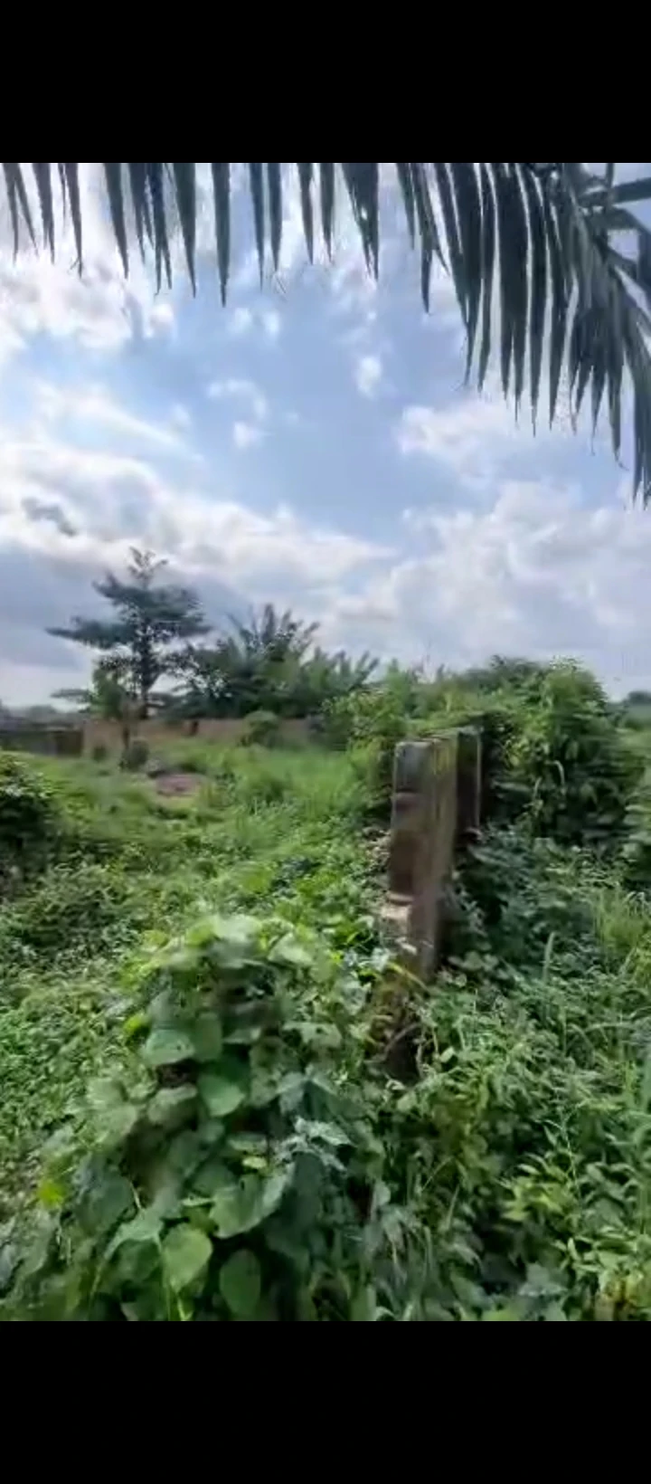 Land for Sale in Amagba, Edo - Image 5
