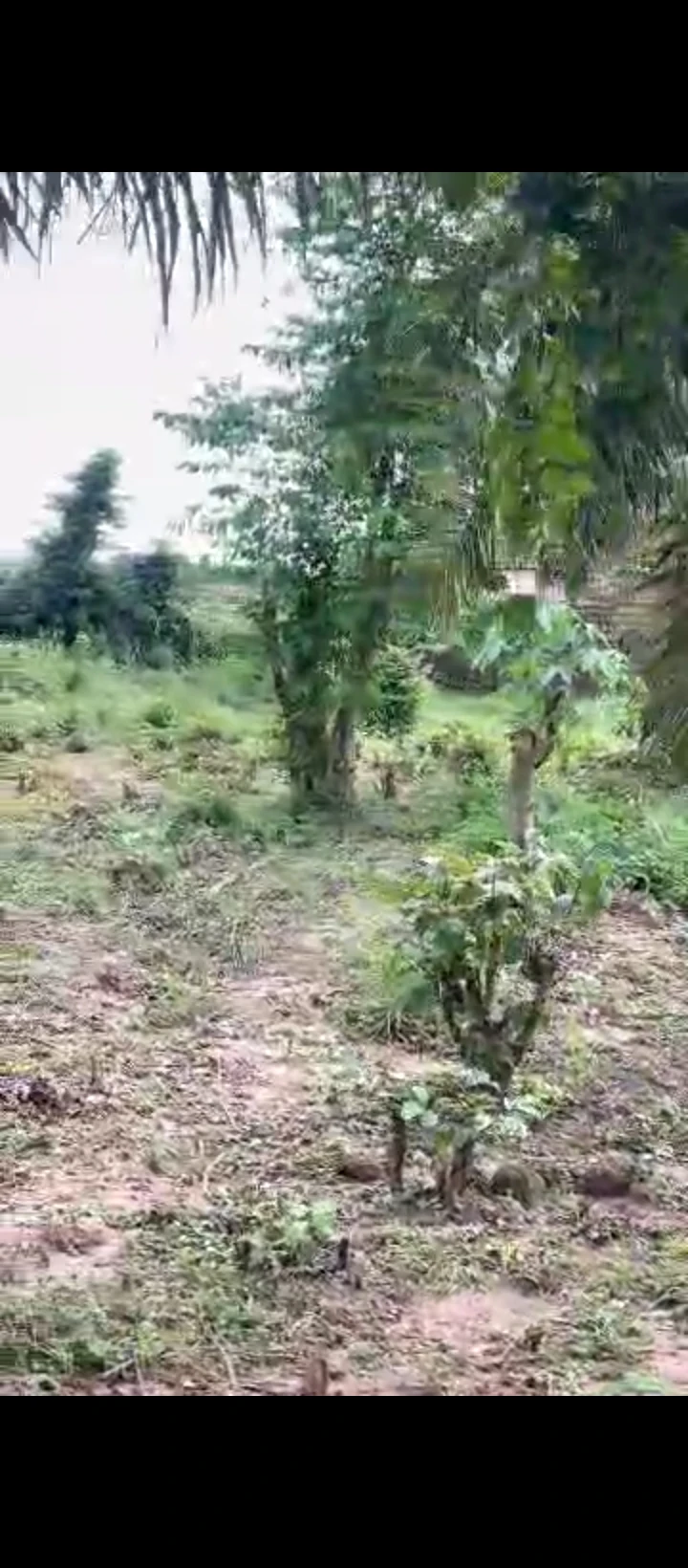 Land for Sale in Amagba, Edo - Image 1