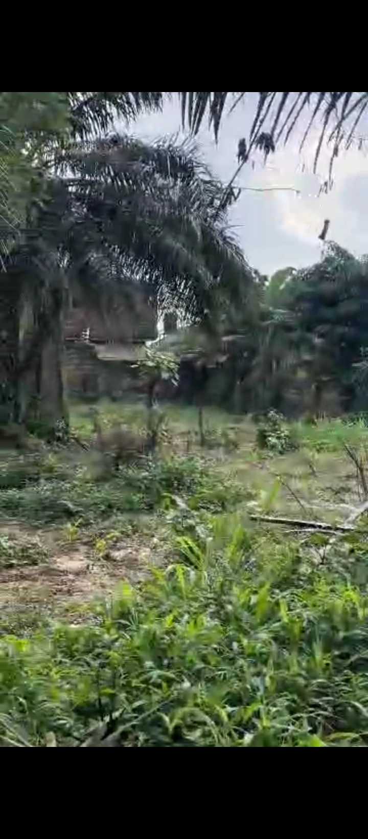 Land for Sale in Amagba, Edo - Image 3