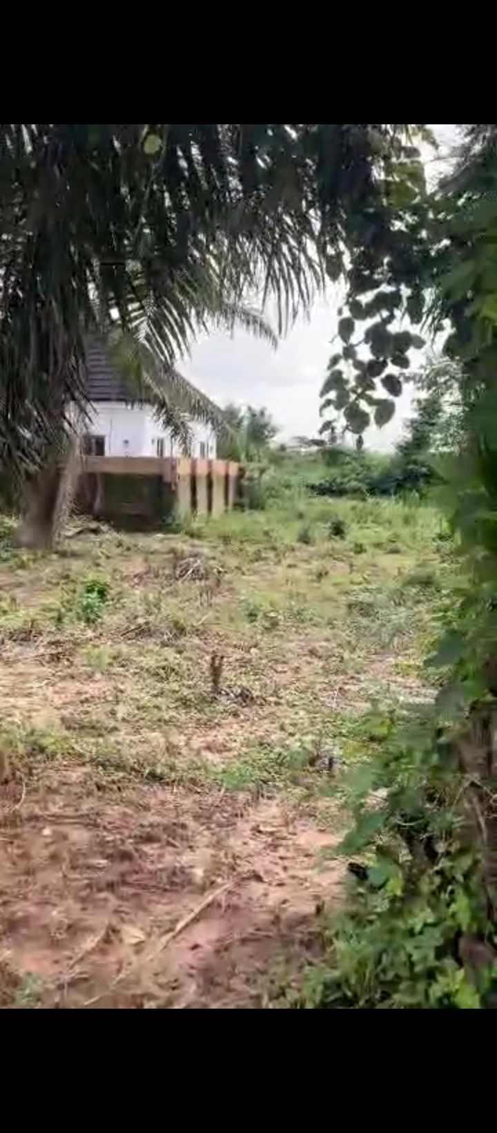 Land for Sale in Amagba, Edo - Image 2