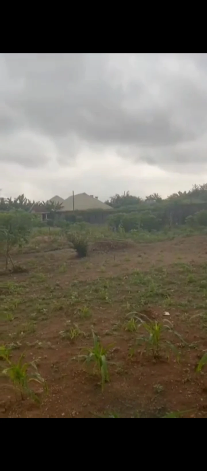 Land for Sale in Ebo airport road, Edo - Image 5