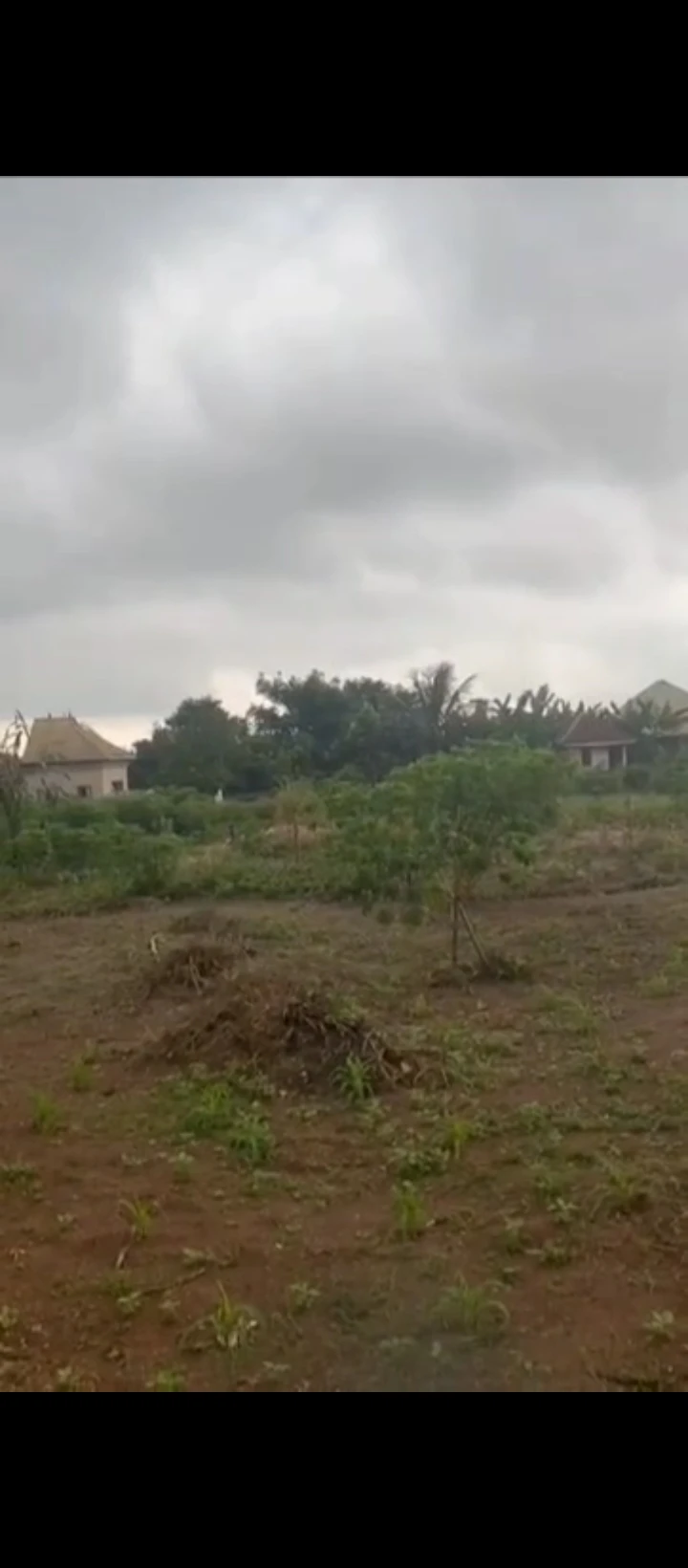 Land for Sale in Ebo airport road, Edo - Image 2