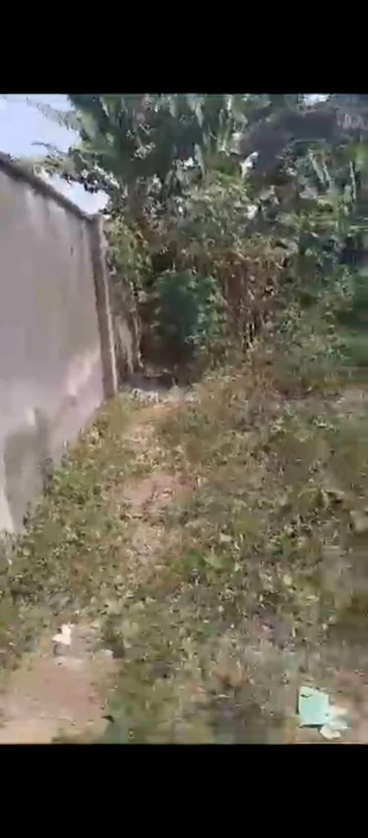 Land for Sale in Iguosa Benin Lagos road, Edo - Image 3