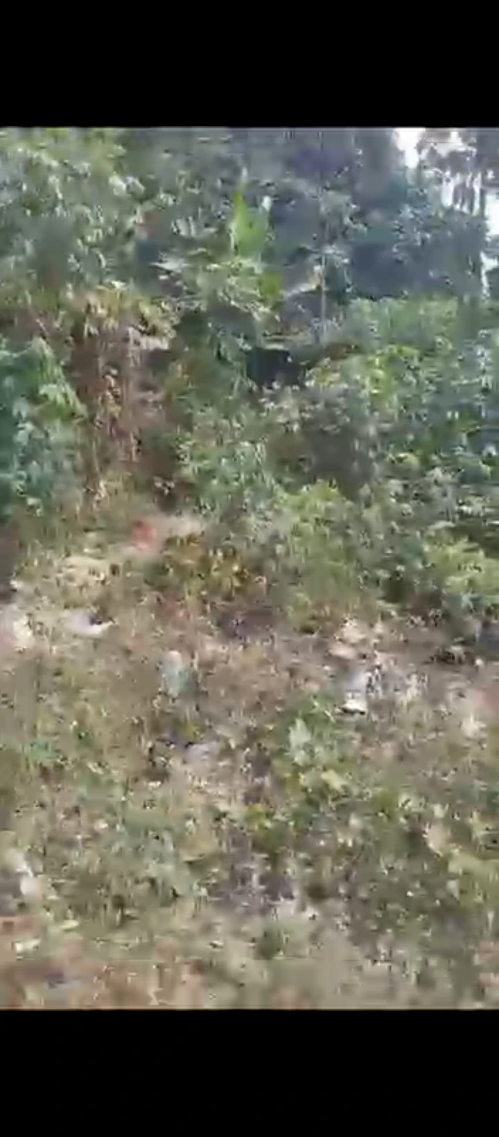 Land for Sale in Iguosa Benin Lagos road, Edo - Image 5