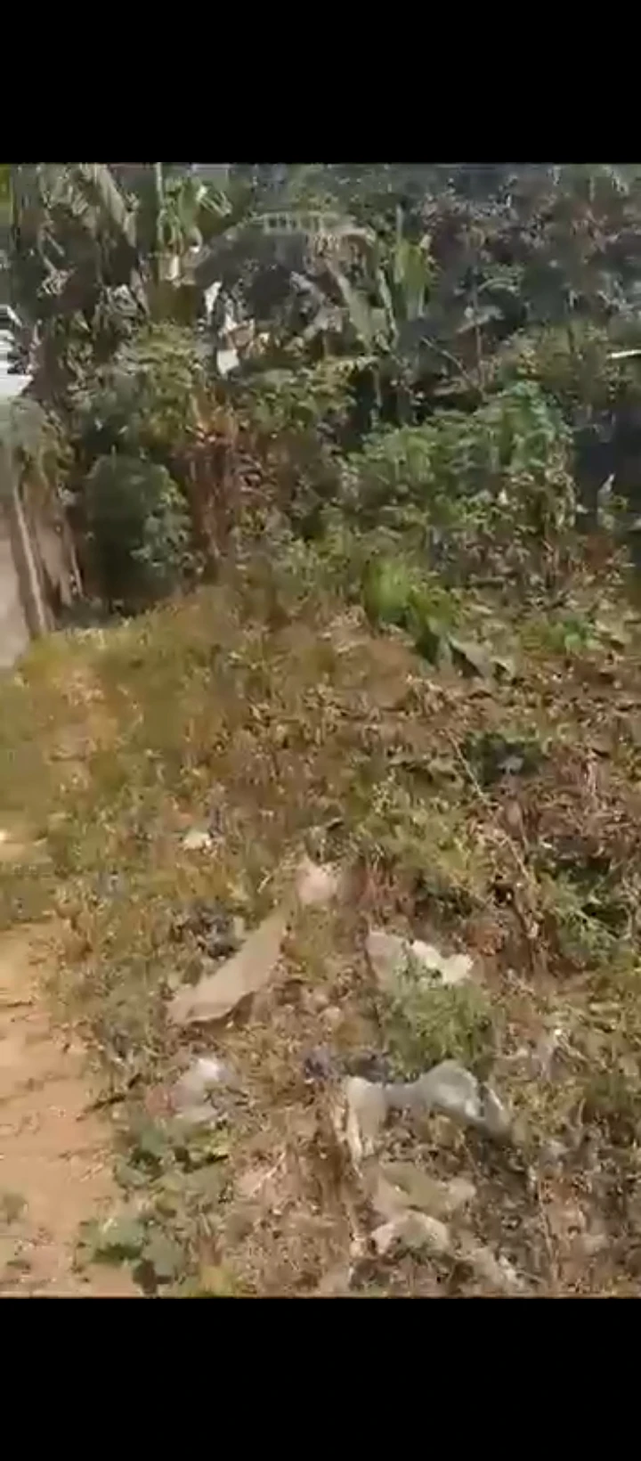 Land for Sale in Iguosa Benin Lagos road, Edo - Image 2