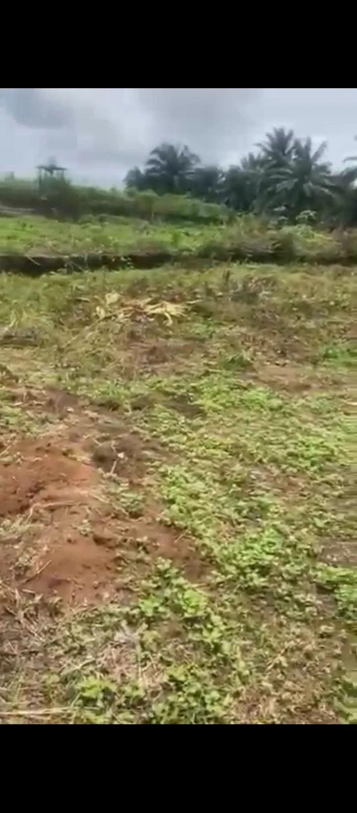 Land for Sale in Sapele road bypass, Edo - Image 5