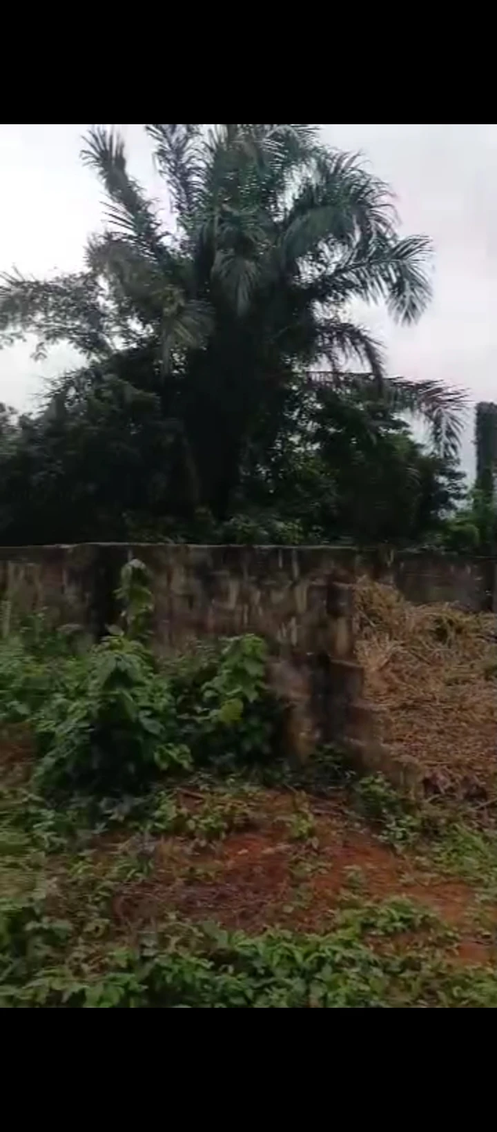 Land for Sale in Off airport road, Edo - Image 1