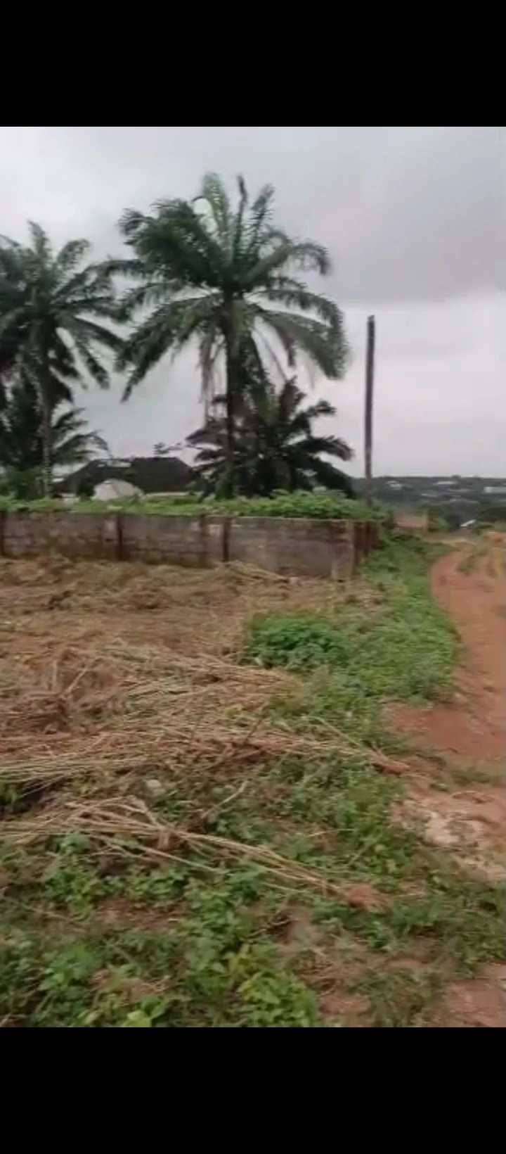 Land for Sale in Off airport road, Edo - Image 5