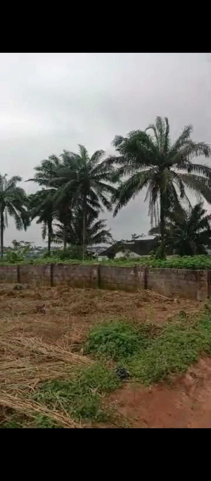 Land for Sale in Off airport road, Edo - Image 3
