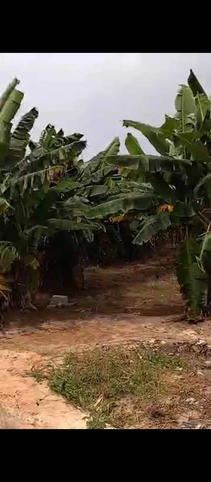Land for Sale in Irhirhri, Edo - Image 6