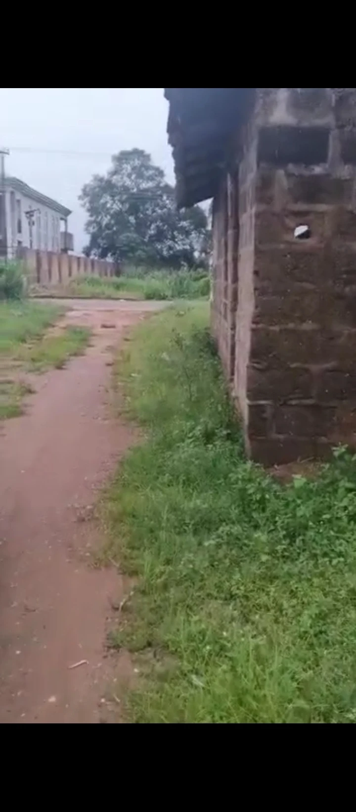 Bungalow for Sale in Ogida textile mill road, Edo - Image 6