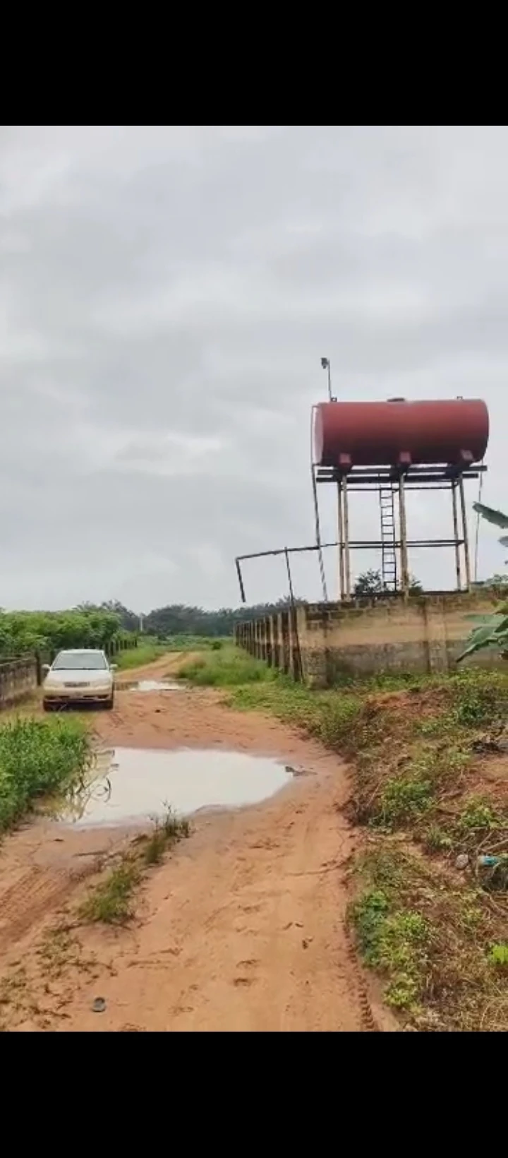 Land for Sale in Ologbo sapele road, Edo - Image 6