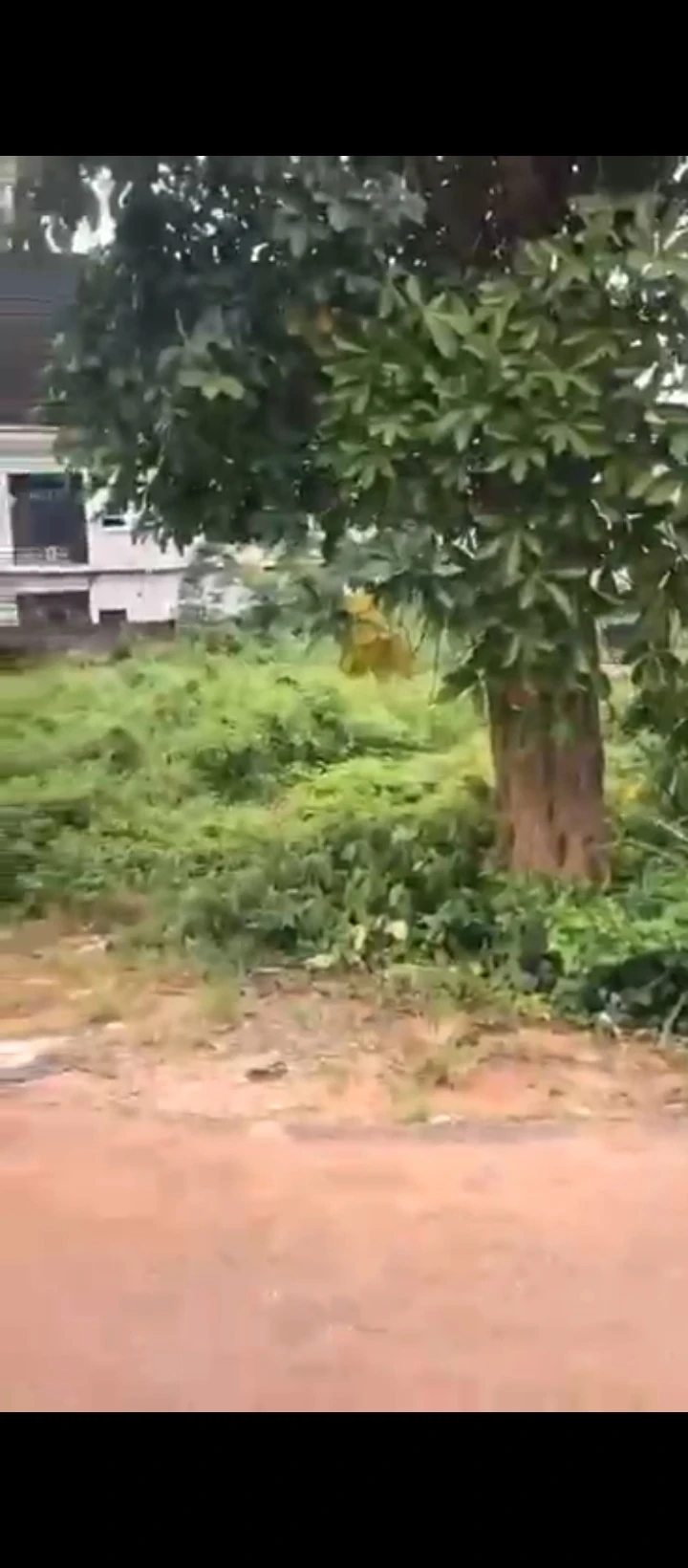 Land for Sale in Guobadia country home, Edo - Image 5