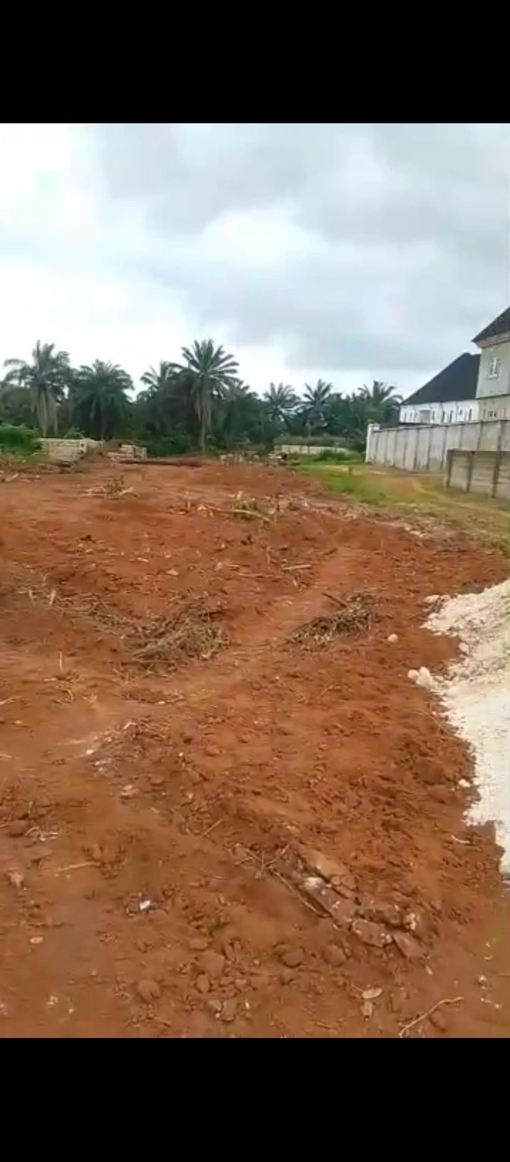 Land for Sale in Falanou country home, Edo - Image 3