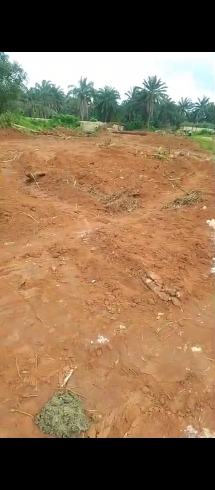 Land for Sale in Falanou country home, Edo - Image 6
