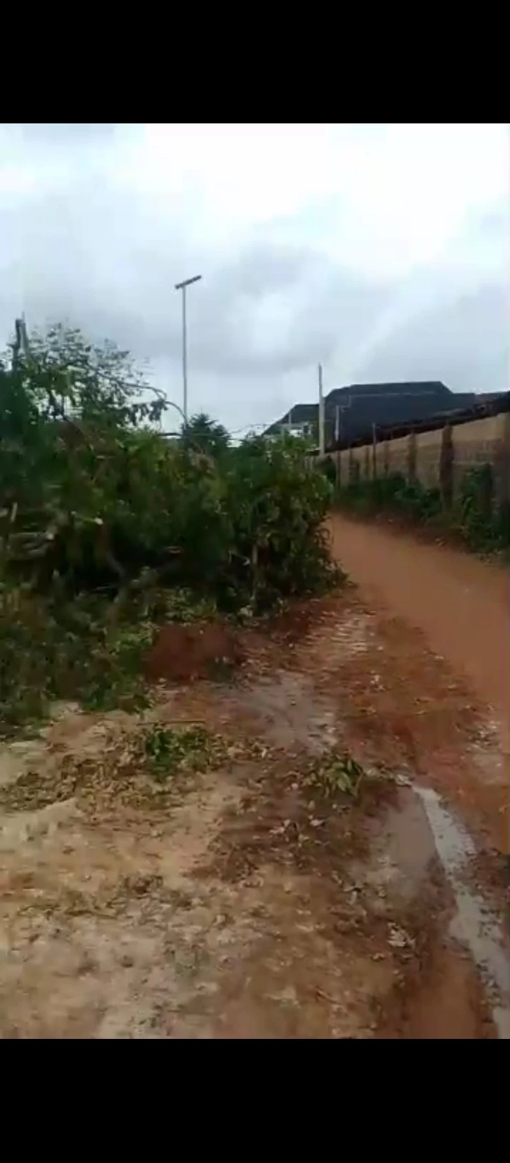 Land for Sale in Falanou country home, Edo - Image 1