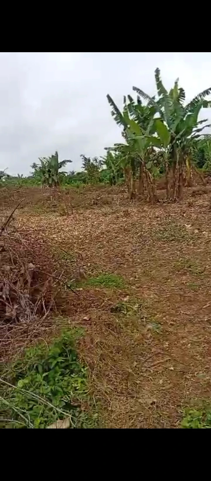 Land for Sale in Ahor community, Edo - Image 4