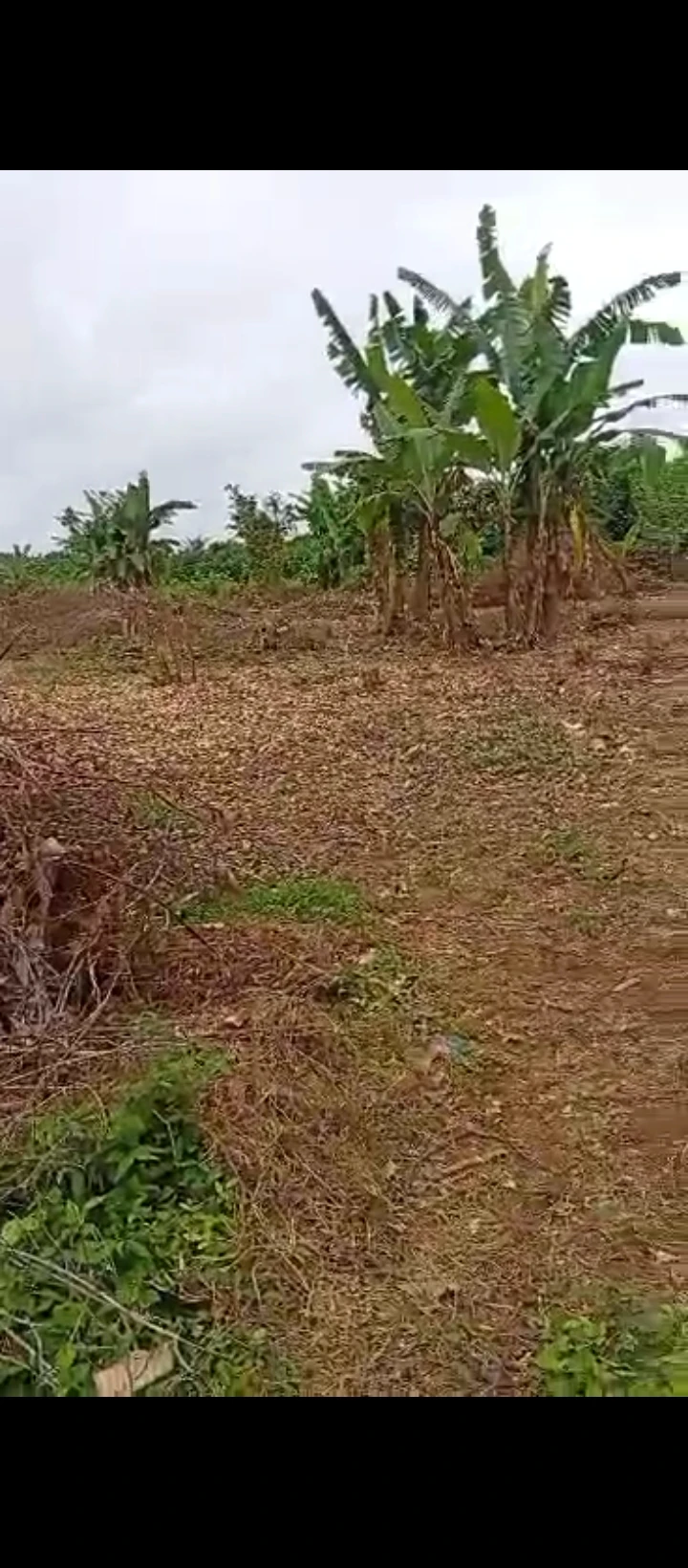 Land for Sale in Ahor community, Edo - Image 6