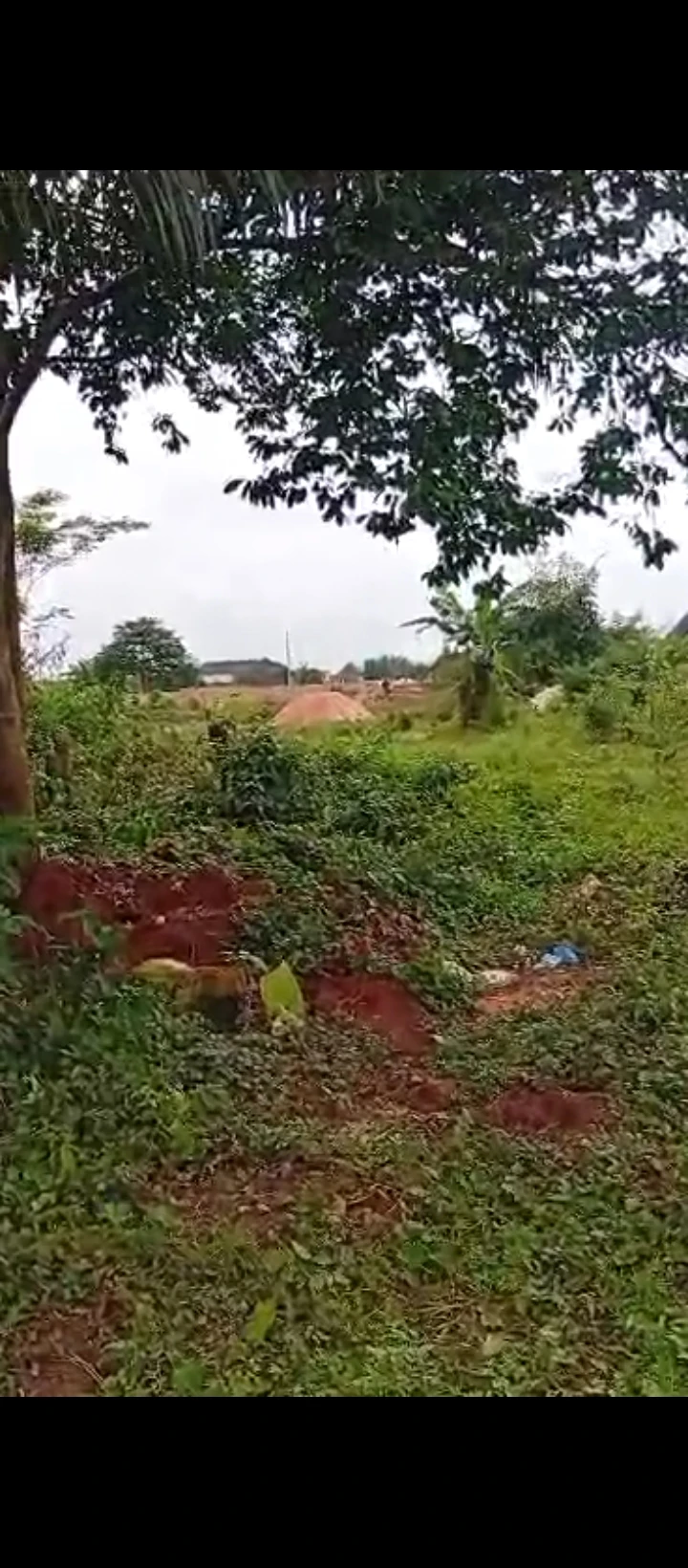 Land for Sale in Ahor community, Edo - Image 3