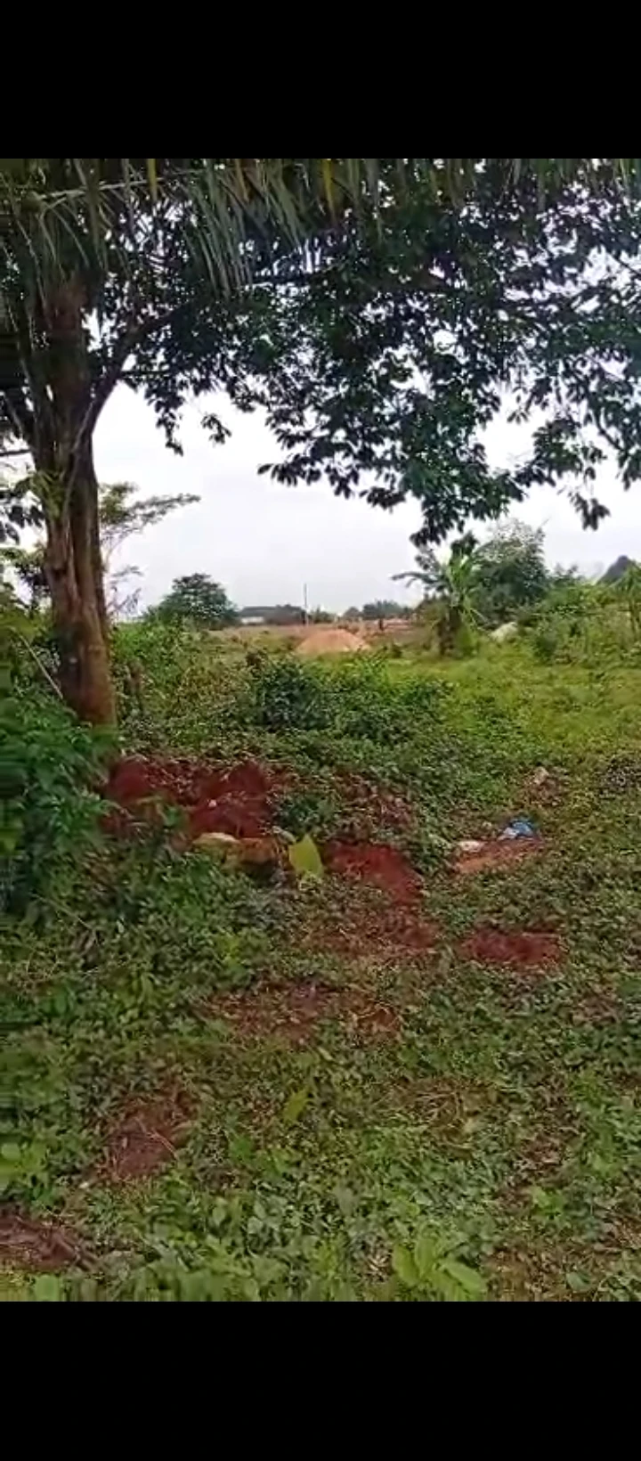 Land for Sale in Ahor community, Edo - Image 1