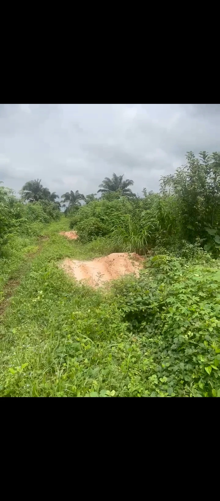 Land for Sale in Auchi bypass, Edo - Image 6