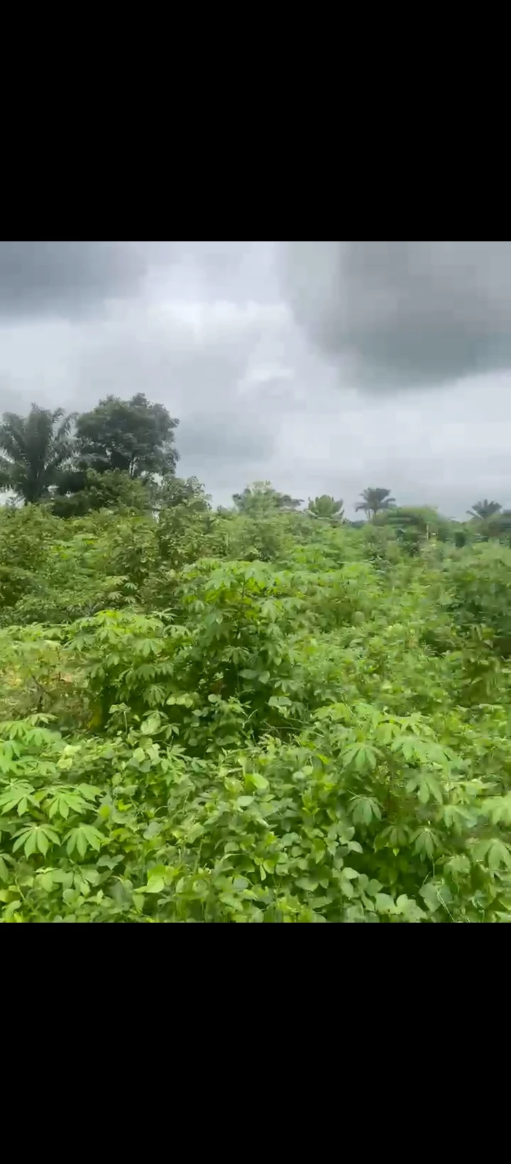 Land for Sale in Auchi bypass, Edo - Image 5
