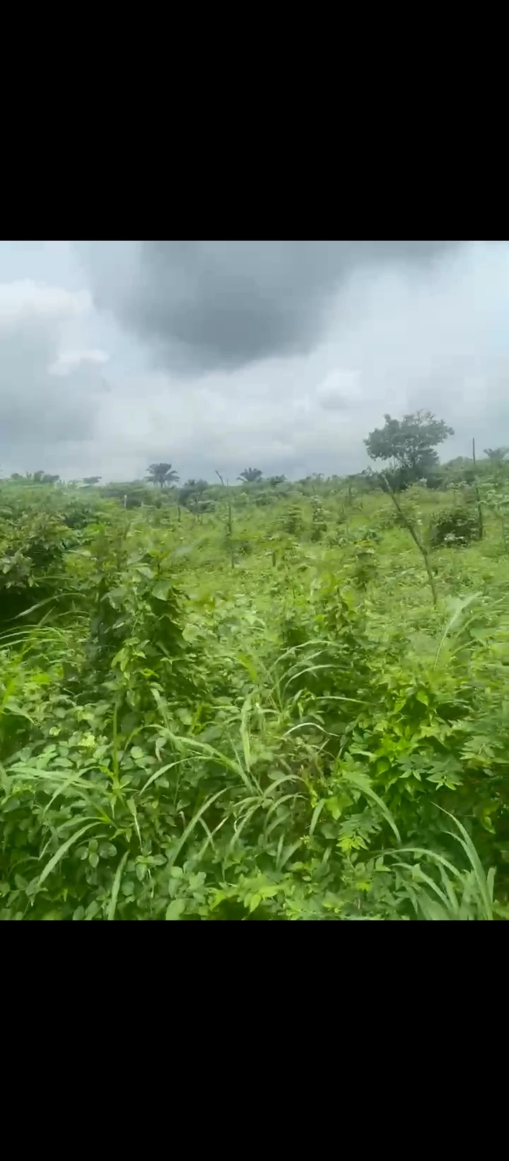 Land for Sale in Auchi bypass, Edo - Image 1