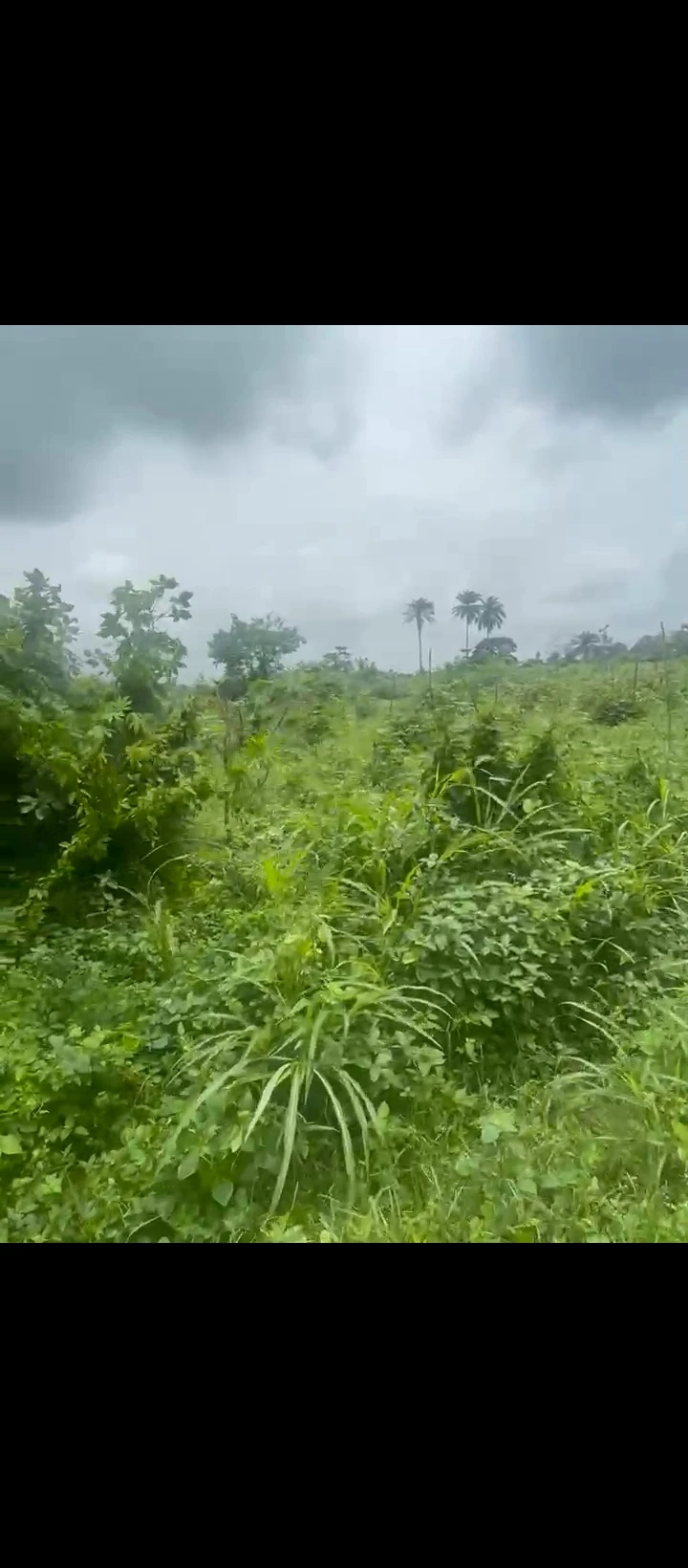 Land for Sale in Auchi bypass, Edo - Image 2