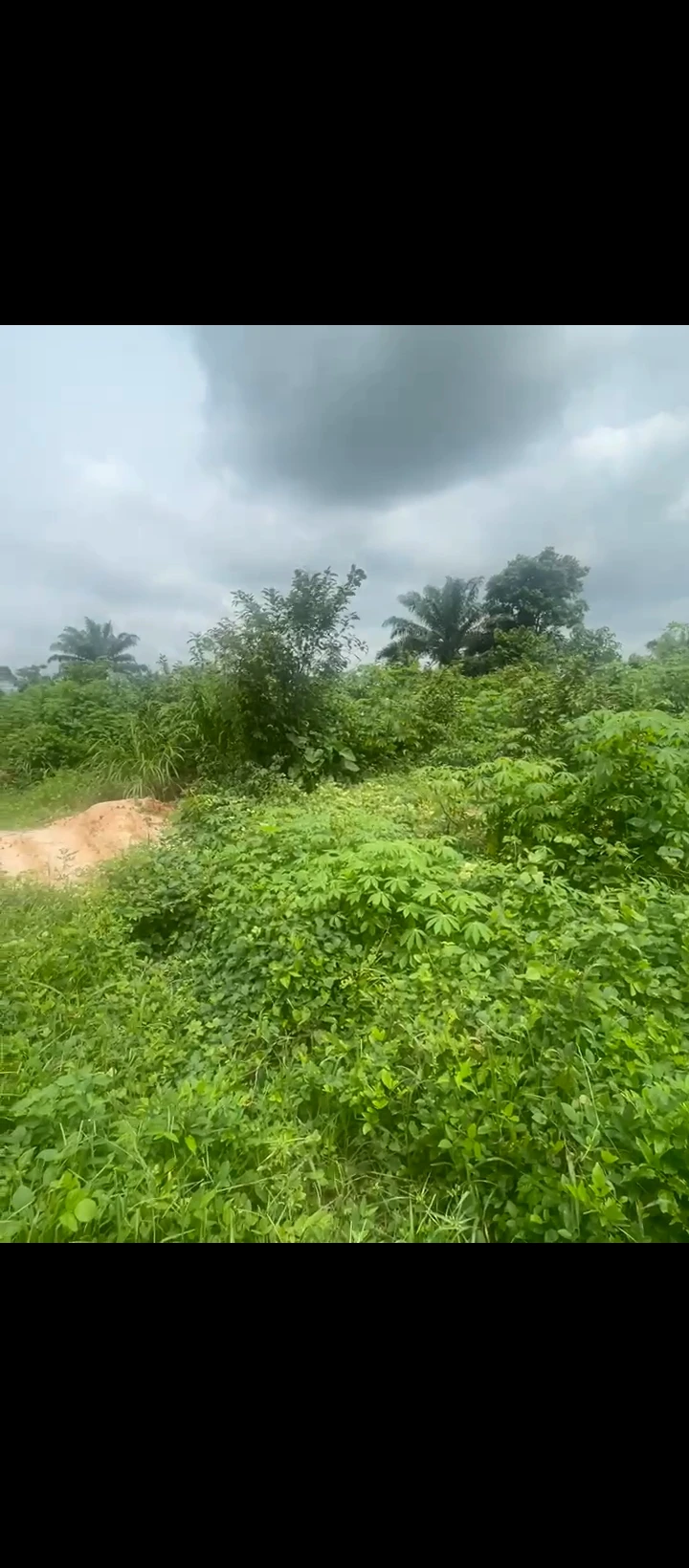 Land for Sale in Auchi bypass, Edo - Image 3