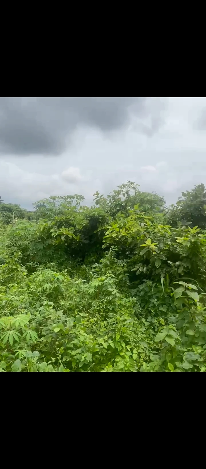 Land for Sale in Auchi bypass, Edo - Image 4