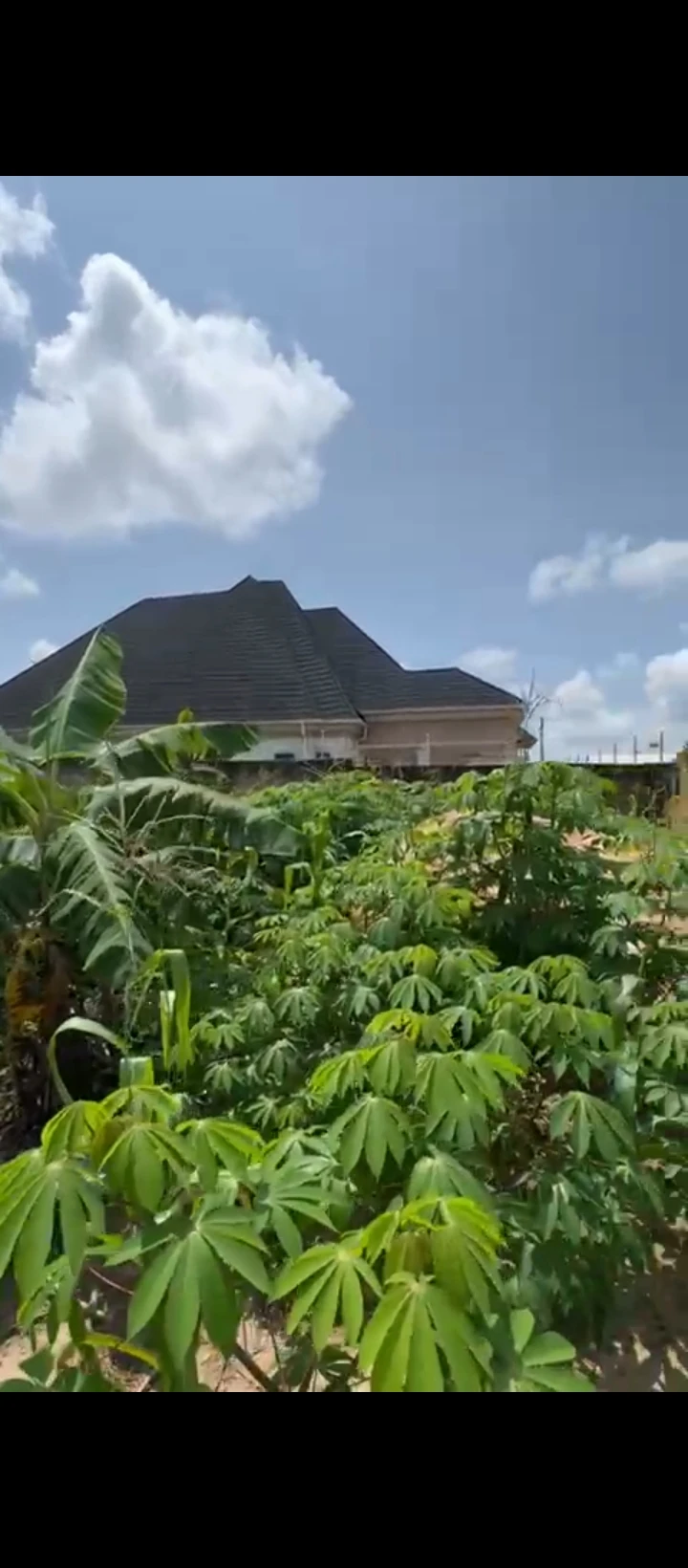 Land for Sale in Okhoromi airport road, Edo - Image 6