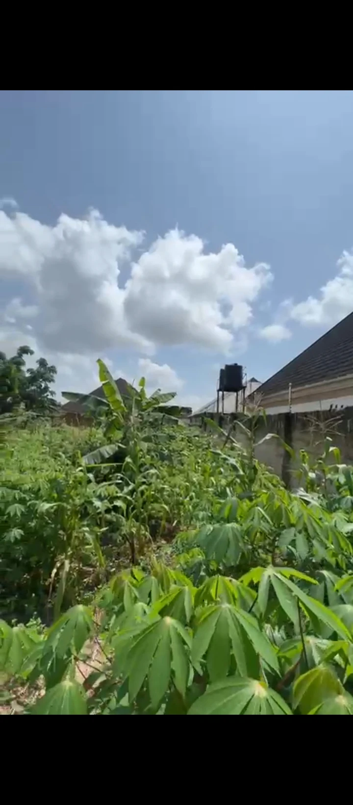 Land for Sale in Okhoromi airport road, Edo - Image 4