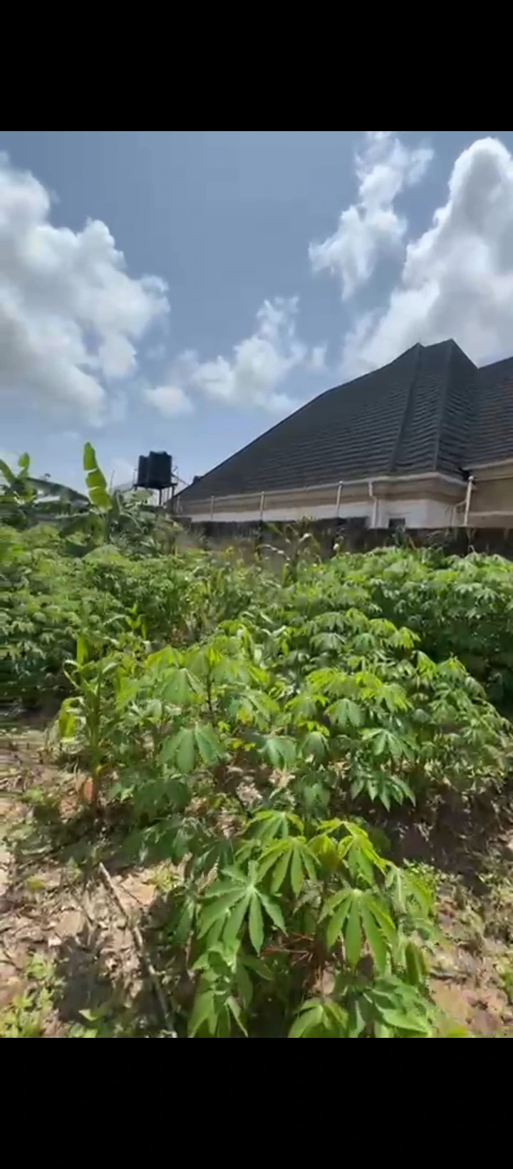 Land for Sale in Okhoromi airport road, Edo - Image 2