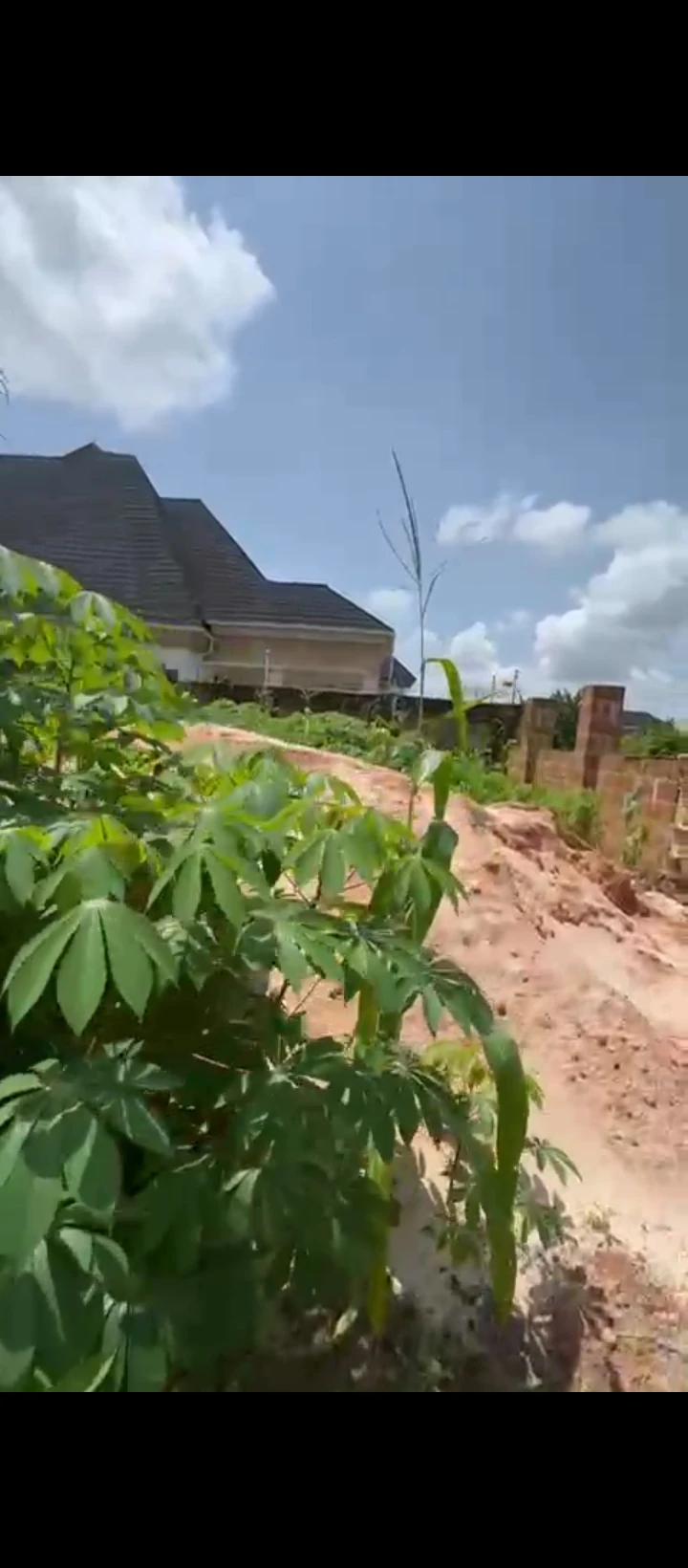 Land for Sale in Okhoromi airport road, Edo - Image 5