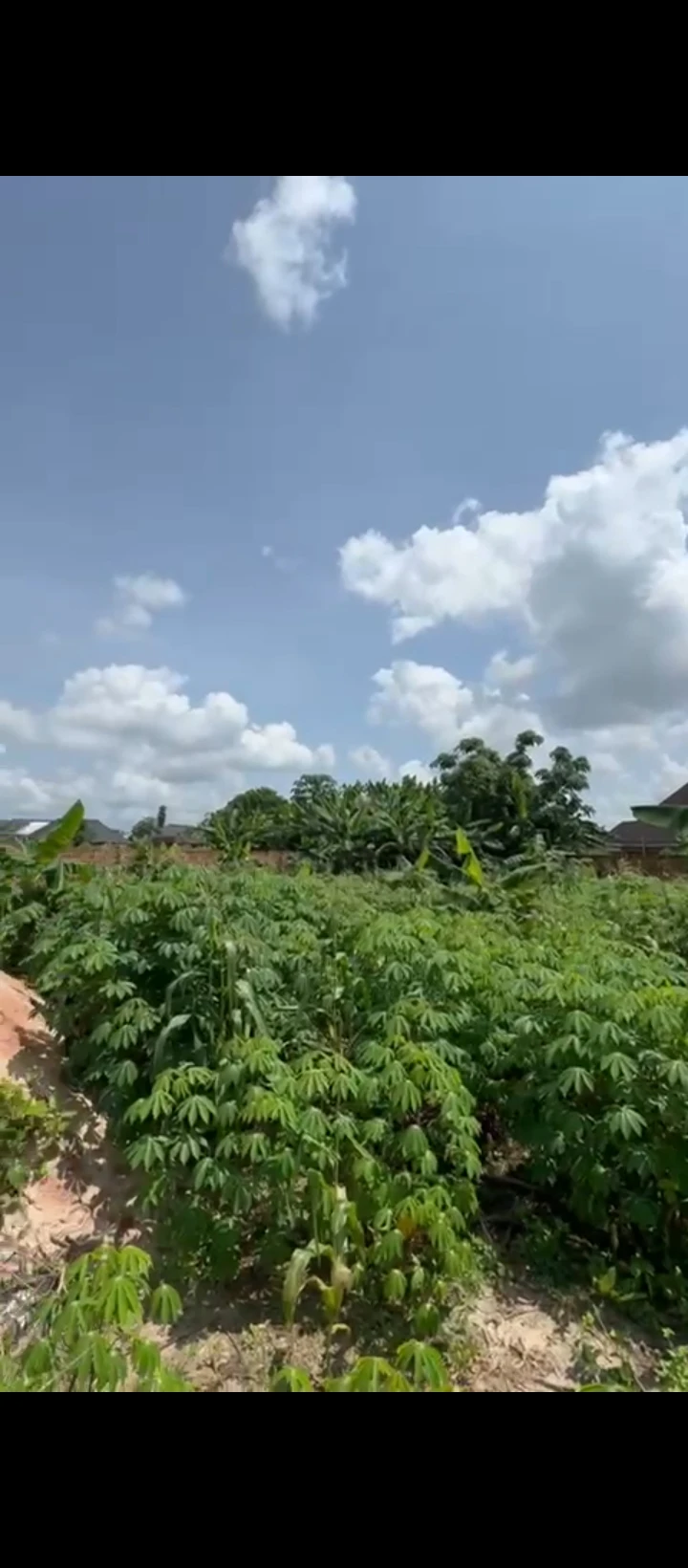 Land for Sale in Okhoromi airport road, Edo - Image 3