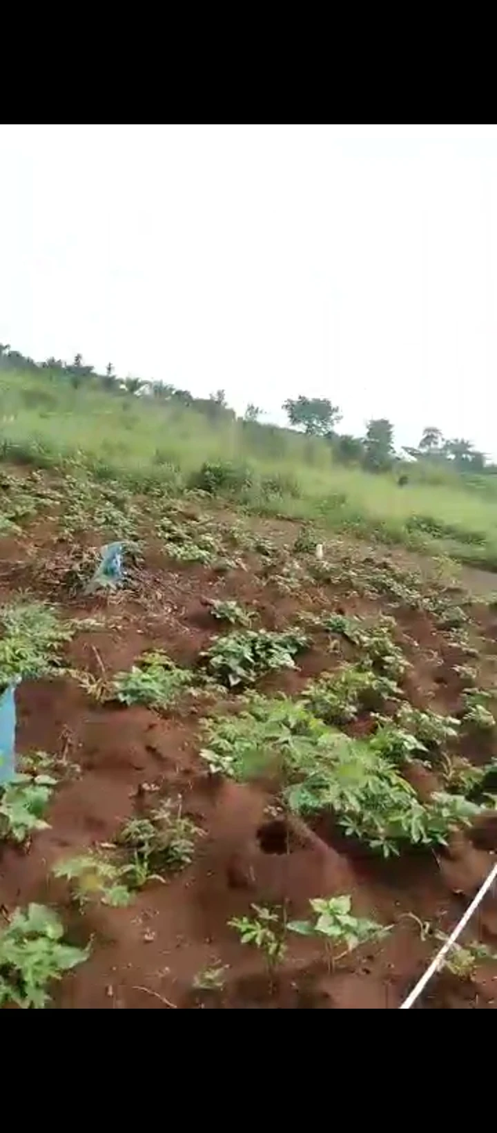 Land for Sale in Benin agbor road, Edo - Image 1