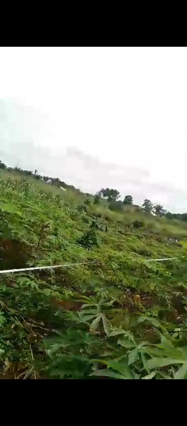 Land for Sale in Benin agbor road, Edo - Image 6