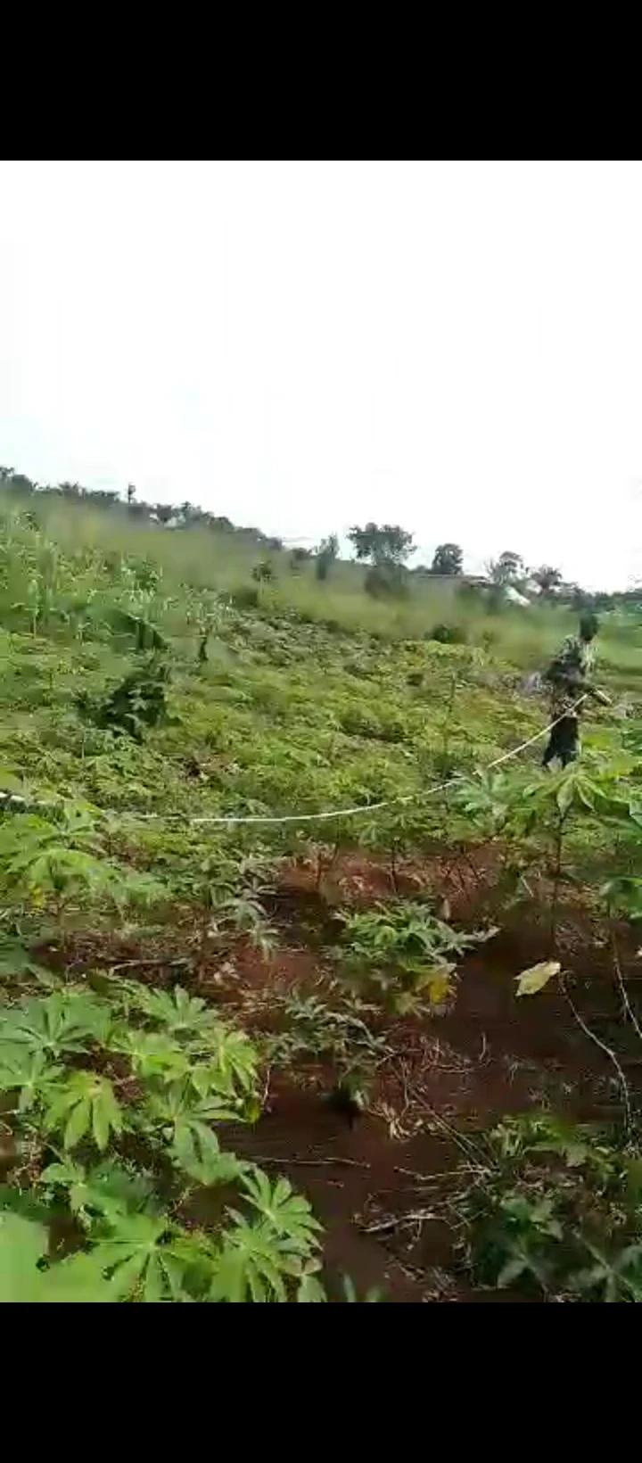Land for Sale in Benin agbor road, Edo - Image 5