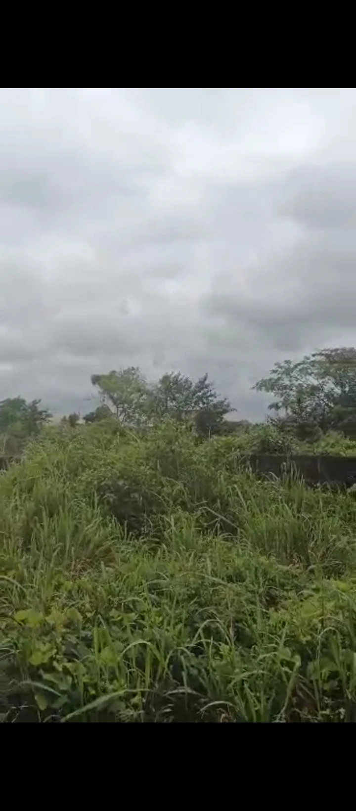 Land for Sale in Obagie sapele road, Edo - Image 3