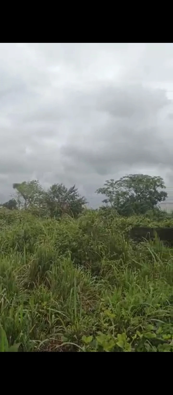 Land for Sale in Obagie sapele road, Edo - Image 4