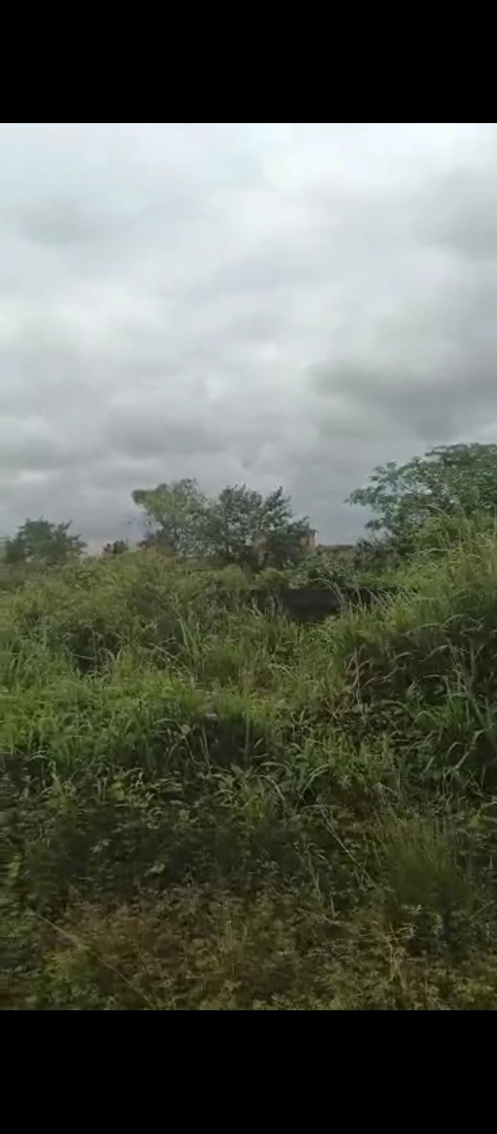 Land for Sale in Obagie sapele road, Edo - Image 5