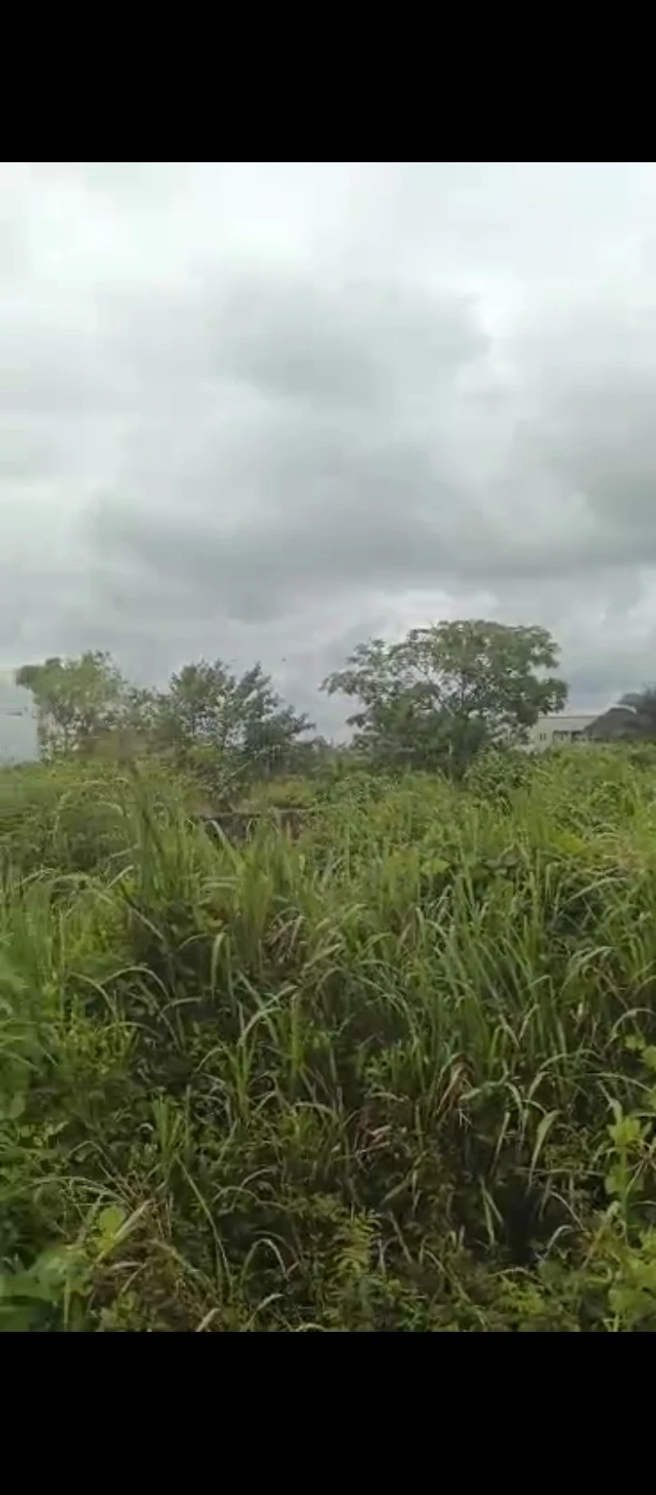 Land for Sale in Obagie sapele road, Edo - Image 6
