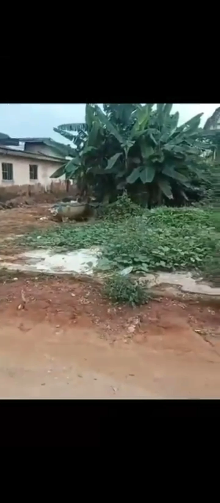 Land for Sale in Ugbor gra, Edo - Image 4